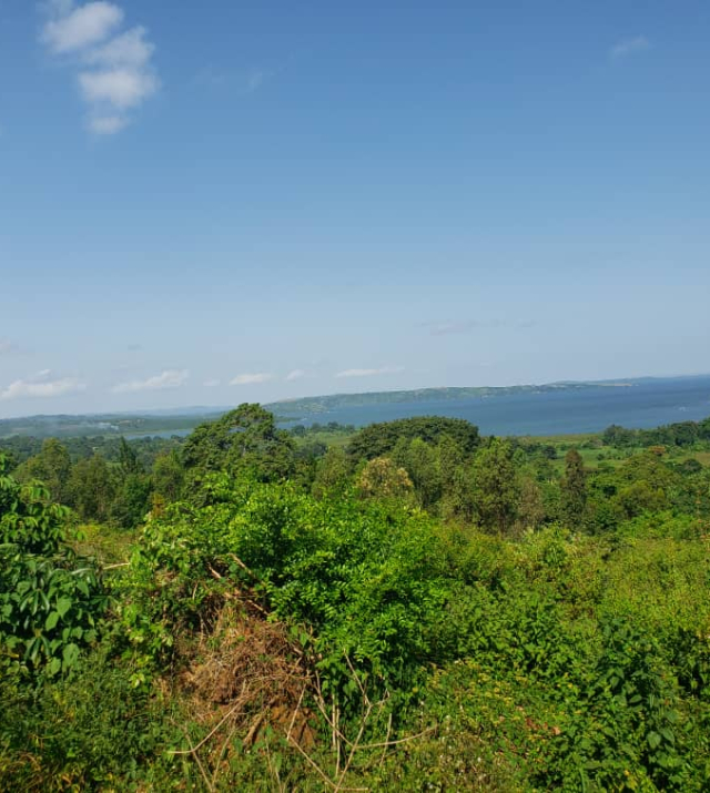 WhatsApp Image 2022-06-04 at 8.51.28 PM.jpeg